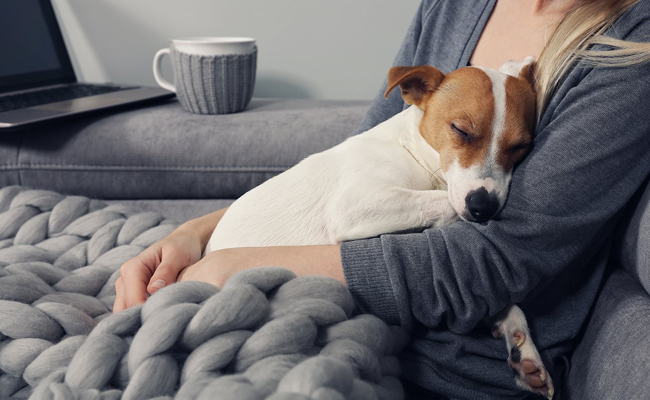 Cozy home, woman covered with warm blanket watching movie, hugging sleeping dog.